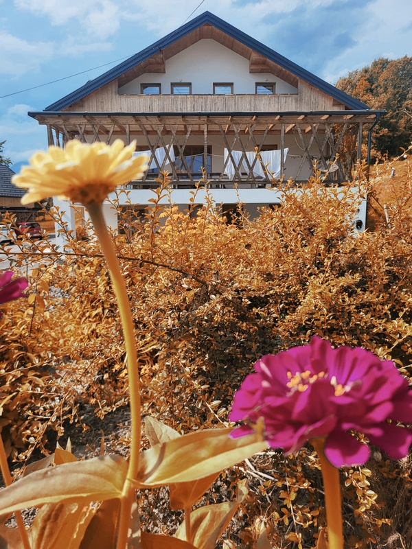 Eco resort in nature